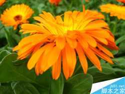 ‘ps把相片或图片制作成一个动感的相册视频效果‘