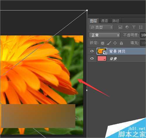‘ps把相片或图片制作成一个动感的相册视频效果‘