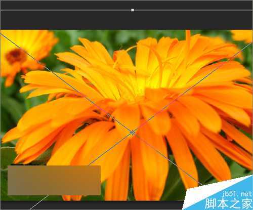 ‘ps把相片或图片制作成一个动感的相册视频效果‘