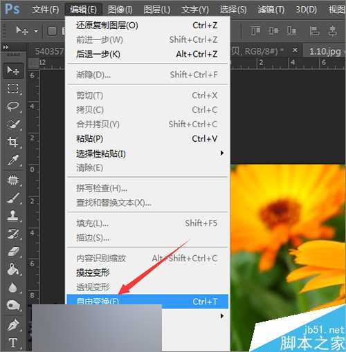 ‘ps把相片或图片制作成一个动感的相册视频效果‘
