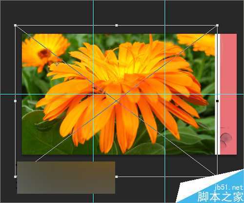 ‘ps把相片或图片制作成一个动感的相册视频效果‘