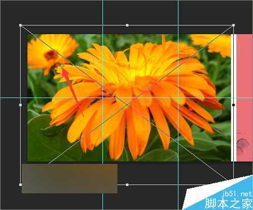 ‘ps把相片或图片制作成一个动感的相册视频效果‘