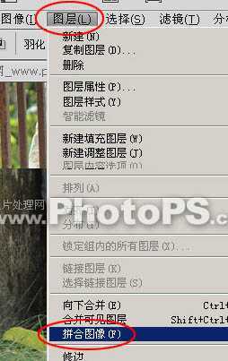 ‘photoshop下将数码照片调亮的方法‘