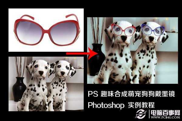 ‘PS趣味合成萌宠狗狗戴墨镜实例教程‘