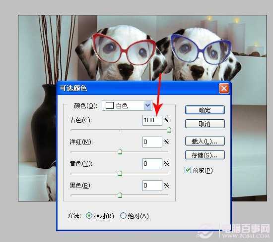‘PS趣味合成萌宠狗狗戴墨镜实例教程‘