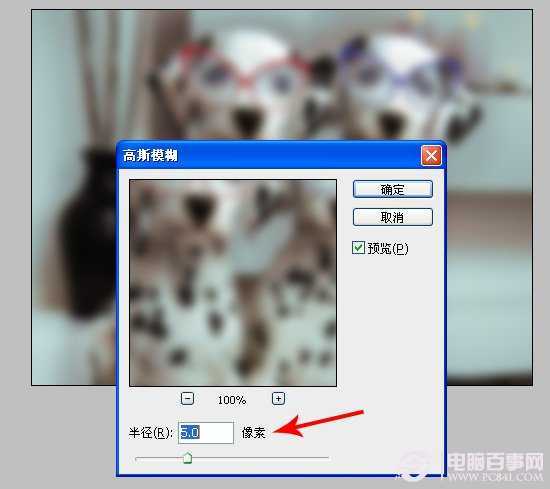 ‘PS趣味合成萌宠狗狗戴墨镜实例教程‘