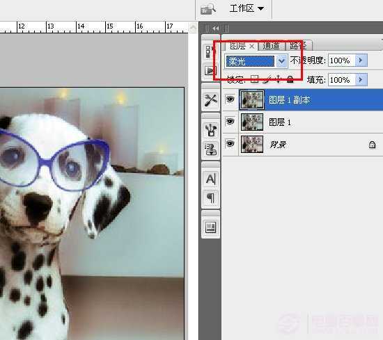 ‘PS趣味合成萌宠狗狗戴墨镜实例教程‘