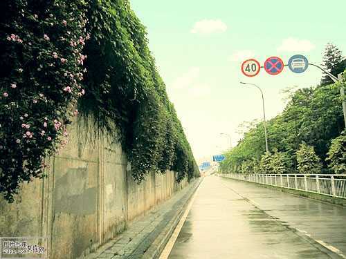 ‘Photoshop调出公路图片青绿的非主流色调‘