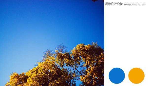 ‘Photoshop巧用照片去色创建色板教程