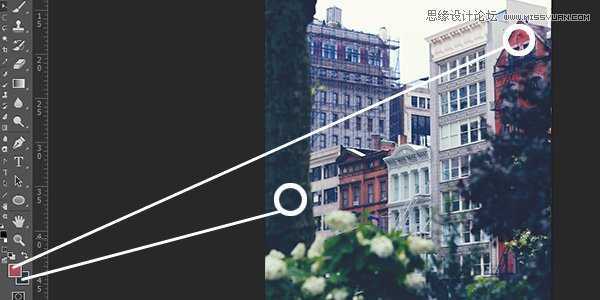 ‘Photoshop巧用照片去色创建色板教程