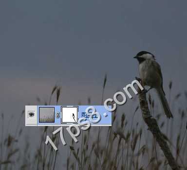 ‘photoshop合成制作出草丛中站立在枯枝上的翠鸟‘