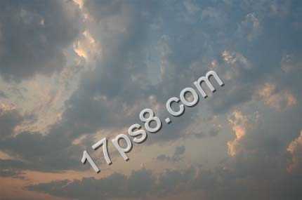 ‘photoshop合成制作出草丛中站立在枯枝上的翠鸟‘