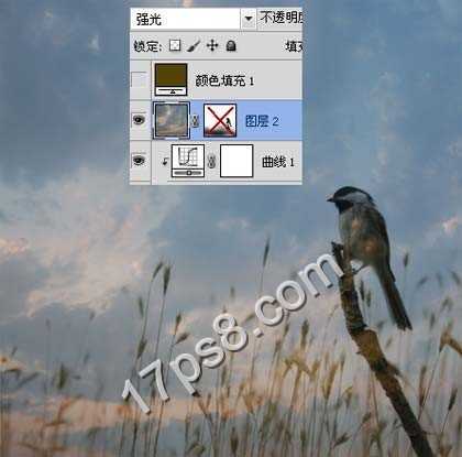 ‘photoshop合成制作出草丛中站立在枯枝上的翠鸟‘