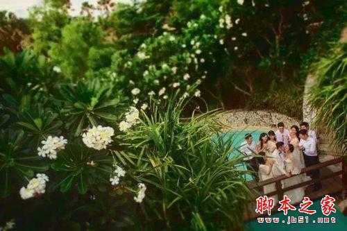 用移轴镜头拍婚礼 知名摄影师的实战经验