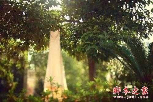 用移轴镜头拍婚礼 知名摄影师的实战经验