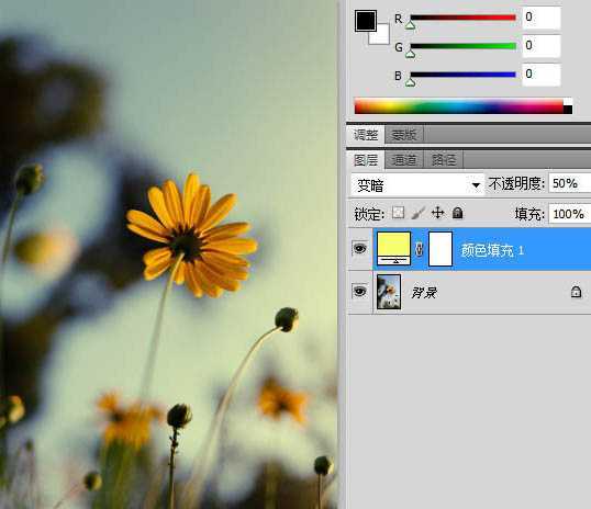 ‘photoshop利用纯色图层快速打造中性蓝黄色花朵图片‘