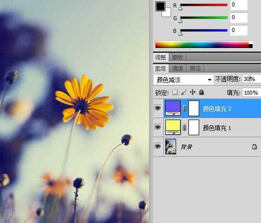 ‘photoshop利用纯色图层快速打造中性蓝黄色花朵图片‘