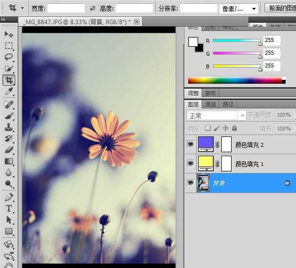 ‘photoshop利用纯色图层快速打造中性蓝黄色花朵图片‘