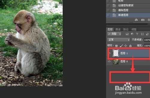 ‘photoshop剪切蒙版的操作及原理实例讲解‘