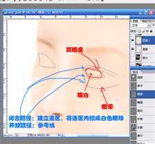 零基础鼠绘系列教程三之眼睛篇