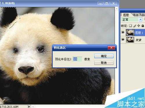 ‘用ps将熊猫变成成一只熊‘