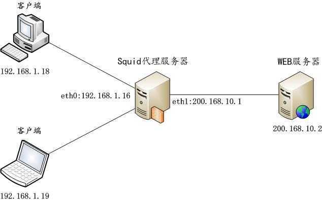 squid-normal