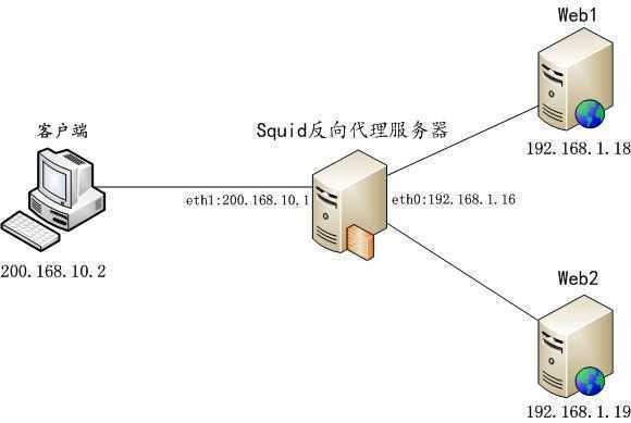squid-reverse
