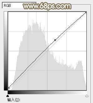 ‘Photoshop调制出唯美的秋季暖色树林婚片‘