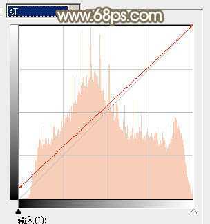 ‘Photoshop调制出唯美的秋季暖色树林婚片‘