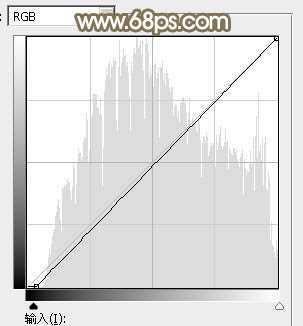 ‘Photoshop调制出唯美的秋季暖色树林婚片‘