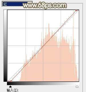 ‘Photoshop调制出唯美的秋季暖色树林婚片‘