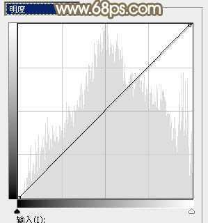 ‘Photoshop调制出唯美的秋季暖色树林婚片‘