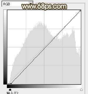 ‘Photoshop调制出唯美的秋季暖色树林婚片‘