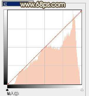 ‘Photoshop调制出唯美的秋季暖色树林婚片‘