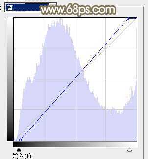 ‘Photoshop调制出唯美的秋季暖色树林婚片‘