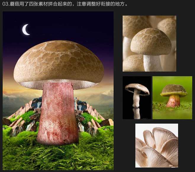 ‘PS合成制作出卡通蘑菇屋顶欣赏月色的小熊场景‘