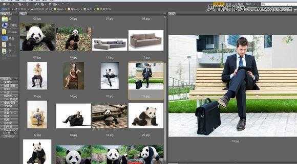 ‘用PS合成做在森林中看书的熊猫人‘