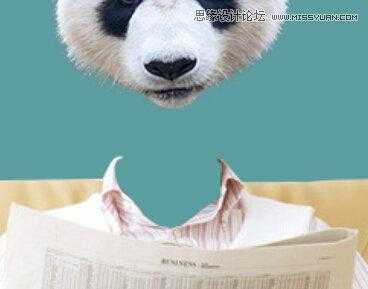 ‘用PS合成做在森林中看书的熊猫人‘