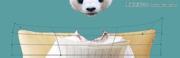 ‘用PS合成做在森林中看书的熊猫人‘