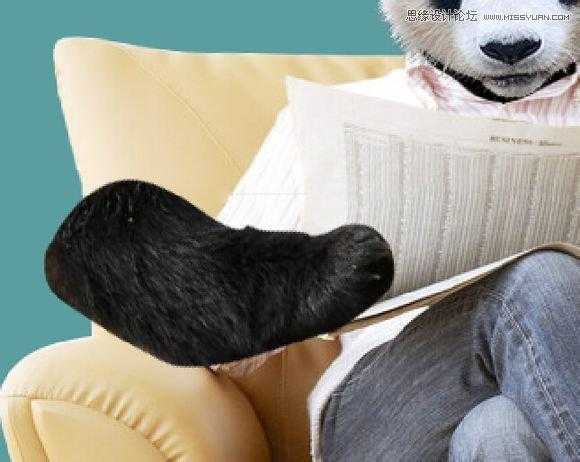 ‘用PS合成做在森林中看书的熊猫人‘