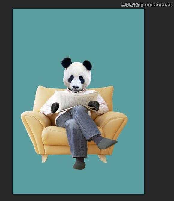 ‘用PS合成做在森林中看书的熊猫人‘