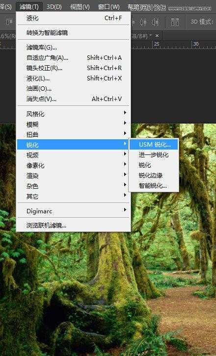 ‘用PS合成做在森林中看书的熊猫人‘