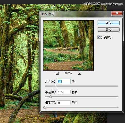 ‘用PS合成做在森林中看书的熊猫人‘