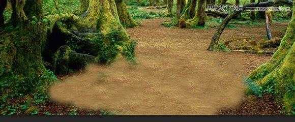 ‘用PS合成做在森林中看书的熊猫人‘