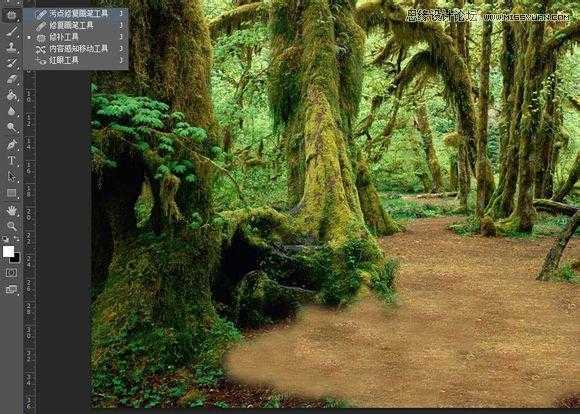 ‘用PS合成做在森林中看书的熊猫人‘