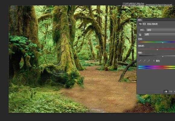 ‘用PS合成做在森林中看书的熊猫人‘