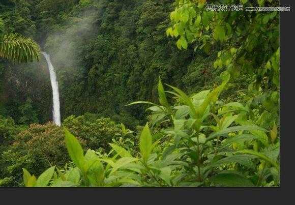 ‘用PS合成做在森林中看书的熊猫人‘