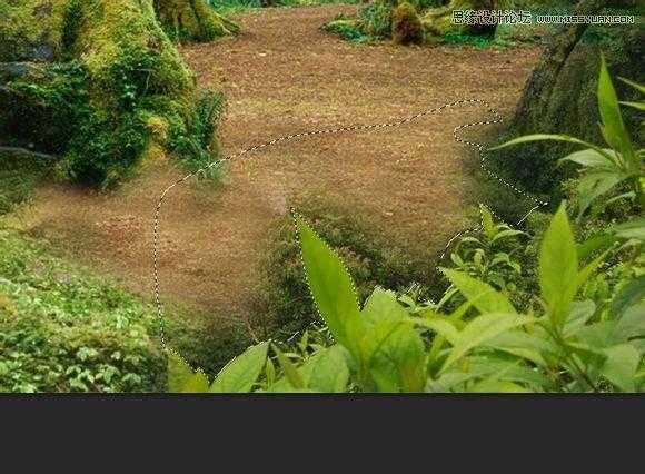 ‘用PS合成做在森林中看书的熊猫人‘