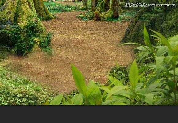 ‘用PS合成做在森林中看书的熊猫人‘