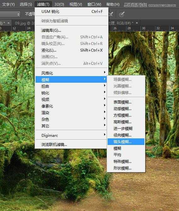 ‘用PS合成做在森林中看书的熊猫人‘